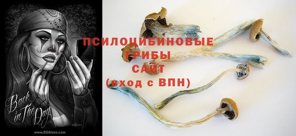 амф Беломорск