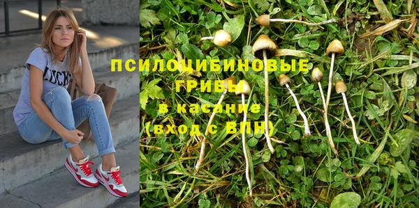 хмурый Белоозёрский