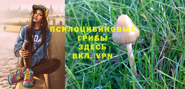 хмурый Белоозёрский
