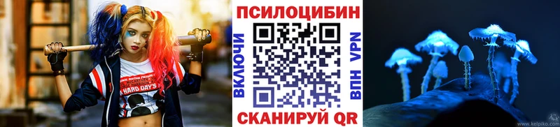 Псилоцибиновые грибы GOLDEN TEACHER KRAKEN ТОР Горячий Ключ