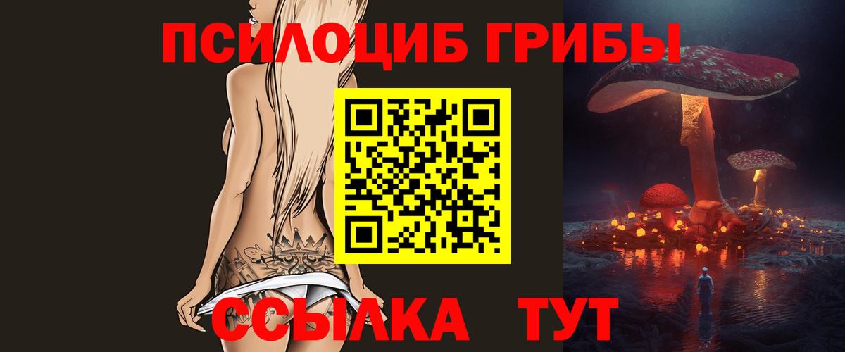 Псилоцибиновые грибы Psilocybe  Вход с VPN  Горячий Ключ 